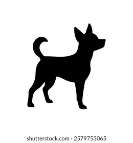 Black standing chihuahua dog silhouette icon flat vector illustration design.