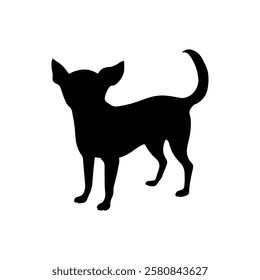 Black standing chihuahua silhouette vector flat illustration design on white background.