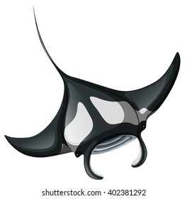 Black stingray on white background illustration