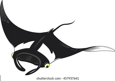 Black stingray on white background, vector and illustration