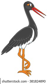 Black Stork