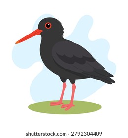 Black stork standing in flat vector style. Black stork illustration featuring Ciconia nigra, black stork with striking red beak and legs.