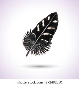 Black Striped Watercolor Feather