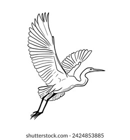 black stripes egret flying.Vector illustration isolated on white.