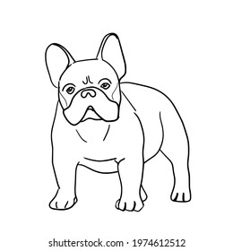 4,059 Bulldog line drawing Images, Stock Photos & Vectors | Shutterstock