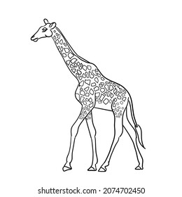 Black stripes giraffe walking.Vector illustration isolated on white background.Cute design for t shirt print, icon, logo, label, patch or sticker.