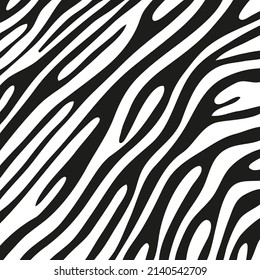 Black stripes on the skin of a zebra for decoration graphics