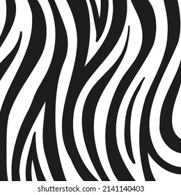 Black stripes on the skin of a zebra for decoration graphics