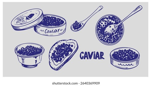 Black sturgeon caviar, beluga, realistic hand drawn sketch, vector monochrome illustration
