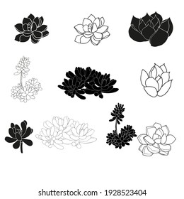 Black Succulent Plants Clipart. Suculentas y cactus clipart Plants. Archivo De Corte De Críticos Dibujado A Mano, Ilustración Del Vector De Esquema.