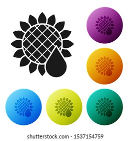 Black Sunflower icon isolated on white background. Set icons colorful circle buttons. Vector Illustration