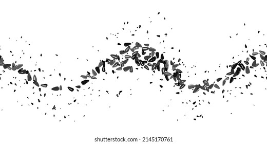 Black sunflower seeds. Seamless pattern of decorative sunflower seeds on white. Summer harvest. Botanical print. Vintage vector design for textile, fabric, packaging, wallpaper