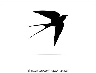 black swallow bird hand drawn design