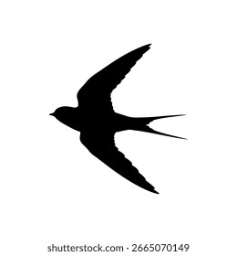 Black swallow bird silhouette vector flat illustration design. 