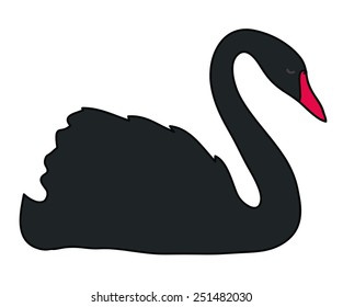 Black swan