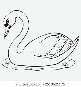 Pássaro de Cisne Negro em Ação Legal Ilustração de Arte em Linha Exclusiva