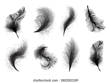 Black swan feather isolated on dark background. Realistic 3d vector illustration of quill. Falling dove feathers or elegant soft plume