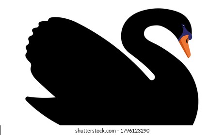 Black Swan Isolated. White Background. Symbol Of An Unpredictable Situation.