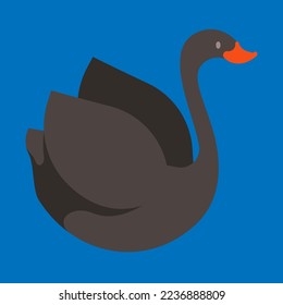 black swan on the water. vector illustration