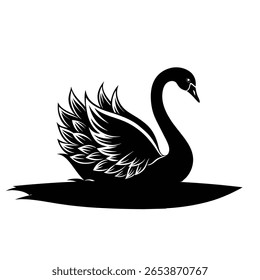 Cisne negro sobre fondo blanco