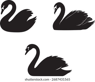 Black Swan Silhouette Vetor Set Pássaro gracioso, Elegância, e Gráficos de Símbolo Natureza.