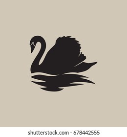 black swan swimming reflection vector illustration