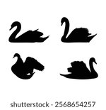 black swans  animal silhouettes vector 