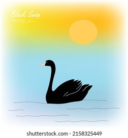 cisnes negros en el lago