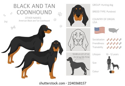 Black and tan coonhound clipart. Different coat colors and poses set.  Vector illustration