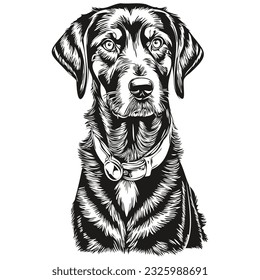 Black and Tan Coonhound dog hand drawn logo drawing black and white line art pets illustration