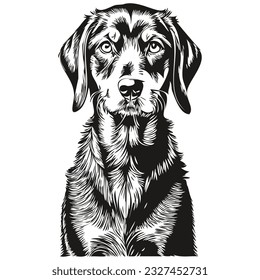 Logo del perro negro y morado de Tan Coonhound vector blanco y negro, vintage lindo perro cabeza grabada dibujo