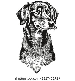 Black and Tan Coonhound dog vector face drawing portrait, sketch vintage style transparent background