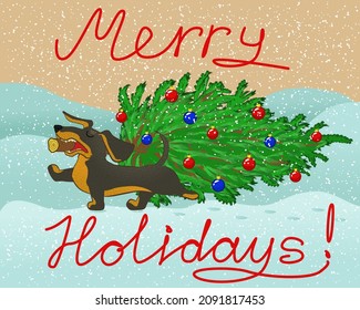 Black and tan dachshund dog proudly walks through the snow and drags a Christmas tree decorated with red and blue Christmas balls in its teeth. Snow falls. Greeting card with signature Merry Holidays