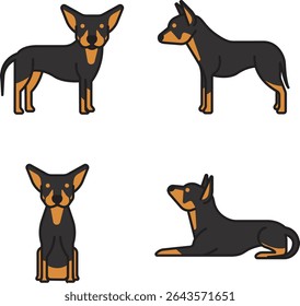 Black and Tan Kelpie dog illustration various poses