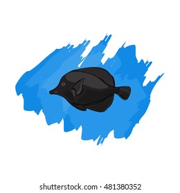 Black Tang - Zebrasoma rostratum - tropical marine fish. Vector illustration