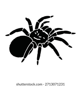 Eine schwarze Tarantula-Spinne, Skizze Vektor 39 auf weißem Hintergrund, einzeln