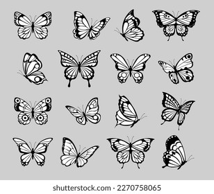 Black tattoo butterflies. Farfalle insects etching drawings, decorative isolated butterfly silhouette graphics