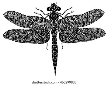 Black tattoo of a dragonfly on a white background. An element of decor. Nature, insect. A stained glass window. Detailing. Emblem.