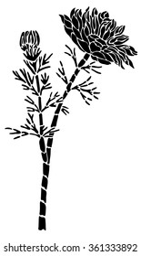 Black tattoo flower of Adonis on a white background
