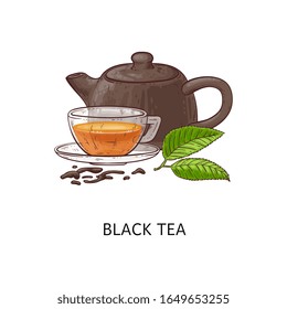 Black tea composition drawing - hot herbal drink in glass cup with teapot and green leaves, loose leaf healthy beverage - hand drawn isolated vector illustration