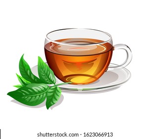 Black tea in a glass cup with green leaf of tea. Vector illustration.