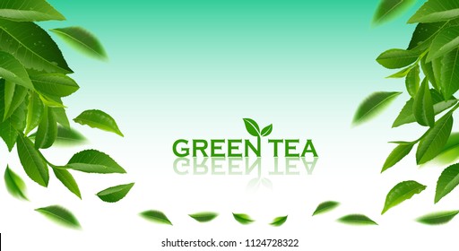 black tea leaves manu and postcard vector nature background, natural cosmetics and health care products, green tea cup brochure, banner, poster, vector illustration.