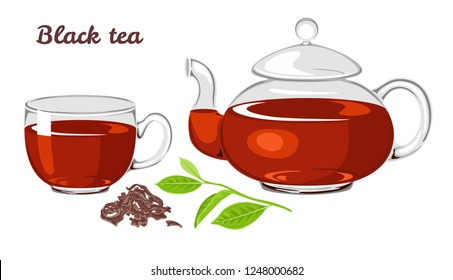 Black tea set isolated on white background. Glass cup and teapot, fresh and dried tea leaves. Vector illustration in cartoon simple flat style.
