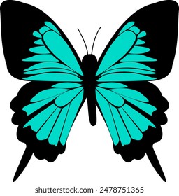 Black and Teal Ulysses Butterfly on a White Background. Lepidoptera Insect Design. Delicate Wings Ornament. Elegant Graphic for Greeting Cards. Summer Wedding Decor.