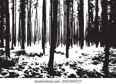 Black and texture of a forest in a grunge frame