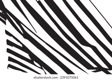 black texture on white background, vector illustration texture for background