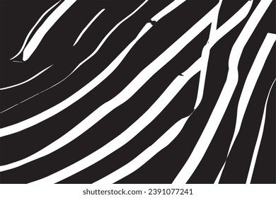 black texture on white background, vector illustration texture for background
