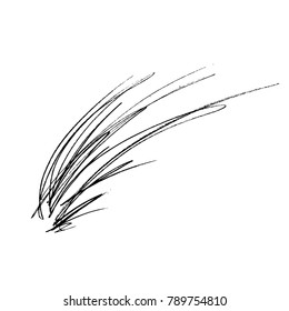 Black thin vector brush stroke