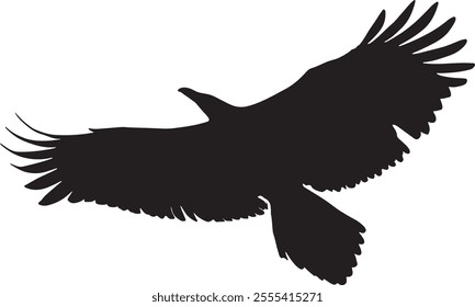 A black thirsty crow flying in the sky