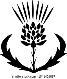 black thistle vector isolated icon